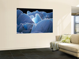 Interlocking Seracs of the Glaciar Torre Laminated Oversized Art