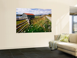 Buy Buildings, Fences and Wildflowers at Oldest Estancia (Cattle Station) in Patagonia at AllPosters.com