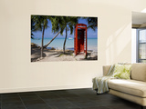 Buy Caribbean, Antigua, Dickenson Bay, English Red Telephone Box at AllPosters.com