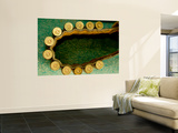 Buy Parwan Province, Shamoli Plains. Belt with Bullets at AllPosters.com