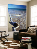 Buy Coconut Washed Up on Beach, Bavaro at AllPosters.com