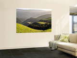 Spring Hills in Carmel Valley