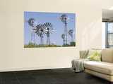 Buy Windmills at American Wind Power Center and Musuem at AllPosters.com