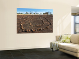 Aboriginal Ceremonial Site, West Kimberley