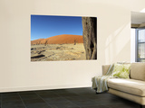Dead Vlei Salt Pan, Sossusvlei, Namibia