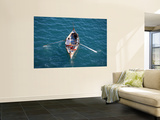 Row Boat in Grand Harbour