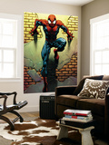 Ultimate Spider-Man #72 Cover: Spider-Man