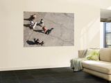 Buy Overhead of Pedestrians Walking Dogs at AllPosters.com