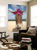 Tourist Donkey, Genipabu Dunes