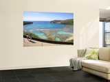 Buy Protected Coral Reef at Hanauma Bay Park at AllPosters.com