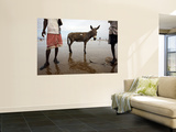 Two Workers Taking Break from Collecting Salt with a Donkey Between Them, Lake Asele