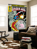 The Spectacular Spider-Man Cover: Spider-Man, Peter Parker, and Human Torch