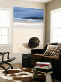Buy Coconut Washed Up on Beach at AllPosters.com