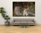 A Portrait of Two Captive Siberian Tigers