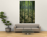 Slender Green Trunks in a Bamboo Forest