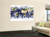 Buy This Spectacular Image is the Most Detailed True-Color Image of the Entire Earth to Date at AllPosters.com