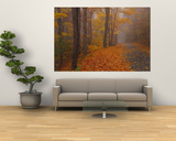 Autumn Road, Monadnock Mountain, New Hampshire, USA