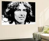 Buy George Harrison at AllPosters.com