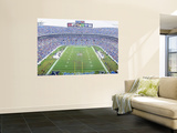 NFL Football, Ericsson Stadium, Charlotte, North Carolina, USA