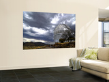 Hobby-Eberly Telescope Observatory Dome at Mcdonald Observatory