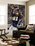 Ravens Vikings Football: Minneapolis, MN - Visanthe Shiancoe