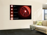 Buy The Final Stages of the Life of a Massive Star, Which Will Go Supernova at AllPosters.com