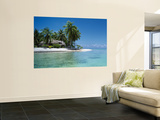 Palm Trees on the Beach, Tikehau, French Polynesia