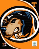 University of Tennessee Volunteers Team Logo Photo