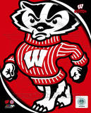 University of Wisconsin Badgers Team Logo