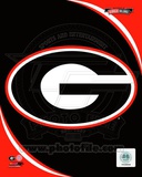 Buy University of Georgia Bulldogs Team Logo at AllPosters.com