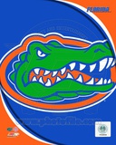 University of Florida Gators Team Logo