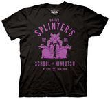 Teenage Mutant Ninja Turtles - Master Splinter’s School Of Ninjutsu