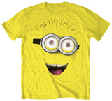 Despicable Me - Front Face