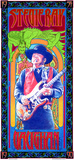 Stevie Ray Vaughan Commemoration