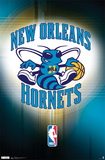 Hornets Logo 2011