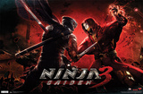 Ninja Gaiden 3 - Battle