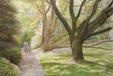Park, Mother And Chil In A Narrow Path