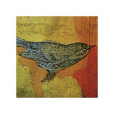 Warbler No. 1