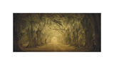 Buy Evergreen Old Allee Study 1 at AllPosters.com