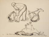 Croquis