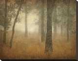 Buy Oak Grove in Fog, Study 24 at AllPosters.com