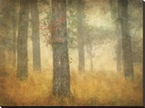 Buy Oak Grove in Fog, Study 26 at AllPosters.com