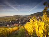 Riquewihr, Alsatian Wine Route, Alsace Region, Haut-Rhin, France