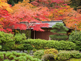 Japanese Garden, Washington Park Arboretum, Seattle, Washington, Usa