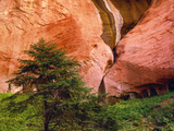View of Double-Arch Alcove, Zion National Park, Utah, Usa