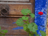 Geraniums and Old Door in Chania, Crete, Greece