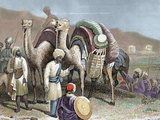 Silk Road, Caravan of Camels Resting, Antioch