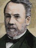 Buy Louis Pasteur (1822-1895). French Chemist and Bacteriologist at AllPosters.com