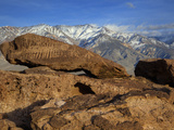 Great Basin Curvilinear Abstract-Style Petroglyphs, Bishop, California, Usa