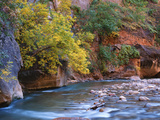 The Virgin River Flows Through the Narrows, Zion National Park, Utah, Usa